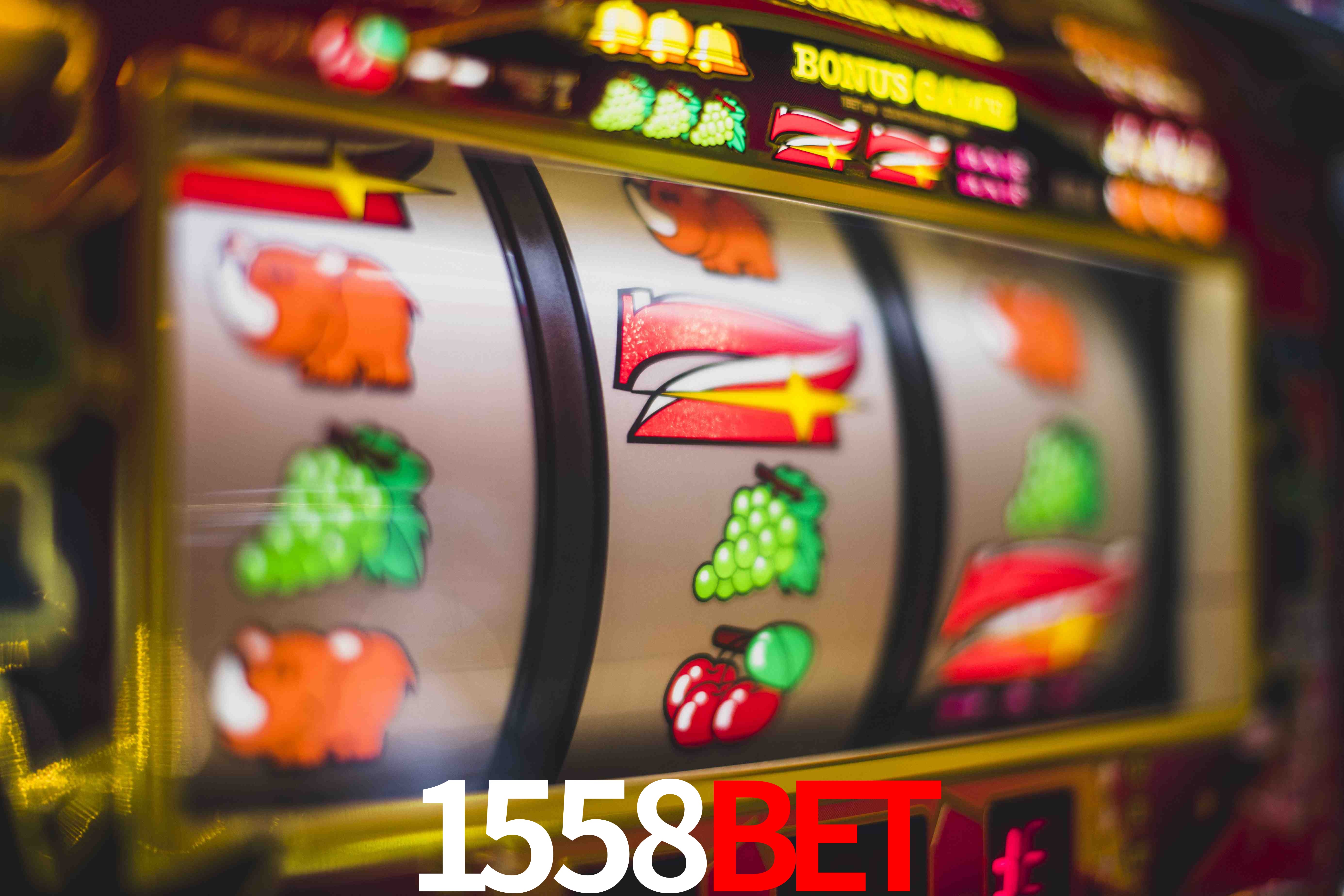 Daily Bonuses 1558Bet